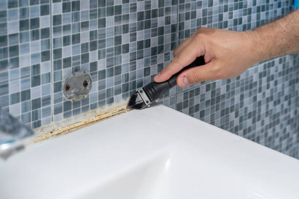 Best Mold Removal Near Me  in New Athens, IL